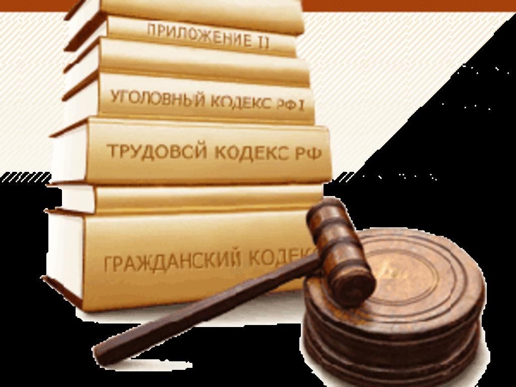 Упрощаются госзакупки юридических услуг для защиты интересов РФ 